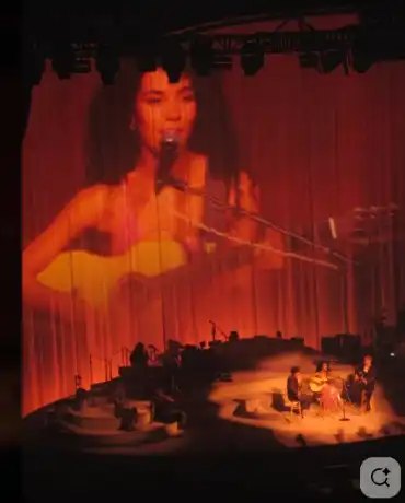 The VIP Experience — reference image 2