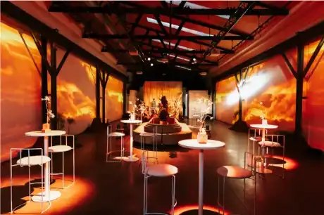 The VIP Experience — reference image 5